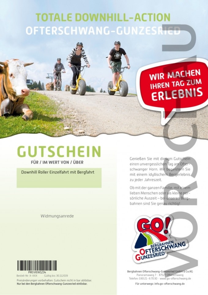 Einzelfahrt mit Bergfahrt Downhill Roller